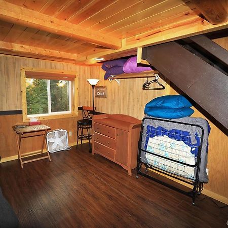 Denali Park View Family Log Cabin 外观 照片