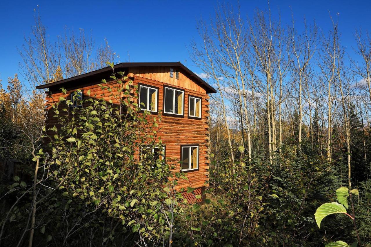 Denali Park View Family Log Cabin 外观 照片