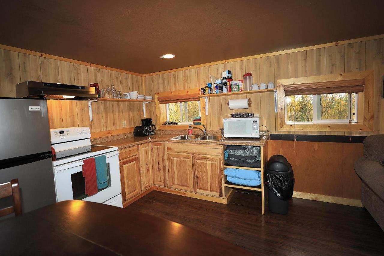 Denali Park View Family Log Cabin 外观 照片