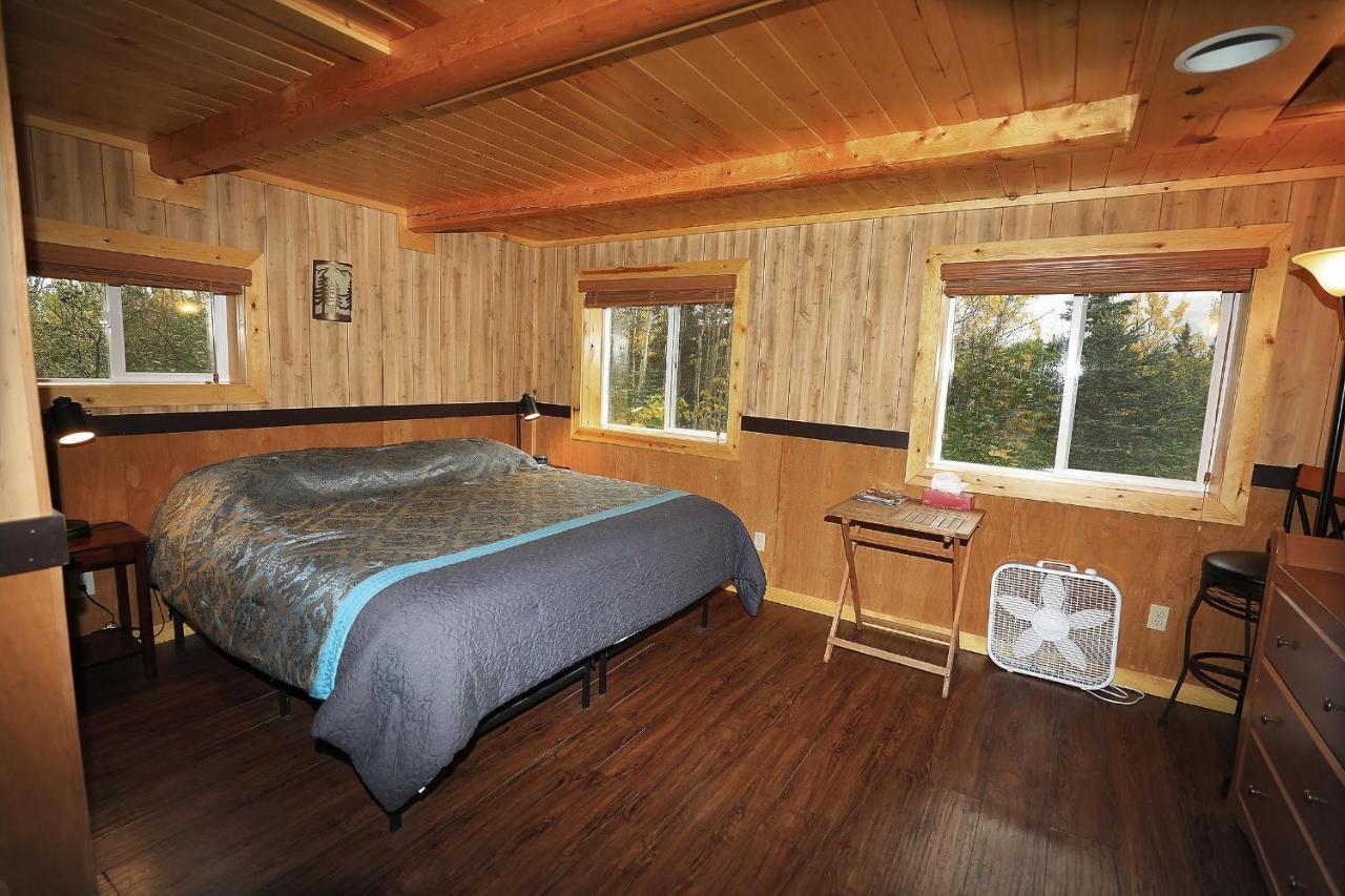 Denali Park View Family Log Cabin 外观 照片