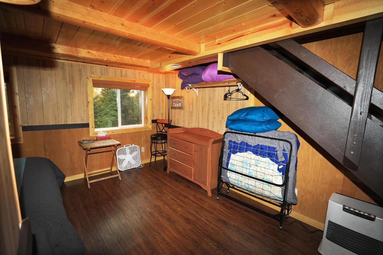 Denali Park View Family Log Cabin 外观 照片