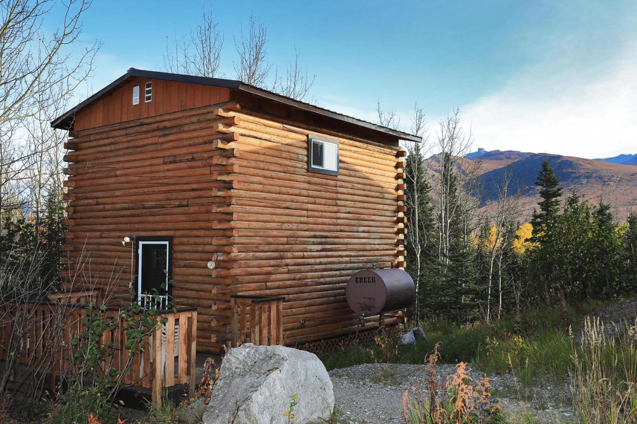 Denali Park View Family Log Cabin 外观 照片