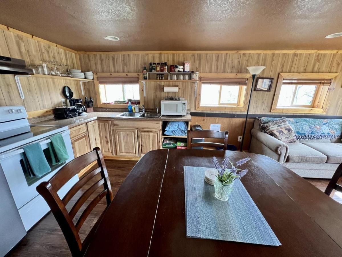 Denali Park View Family Log Cabin 外观 照片